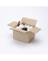 High-Quality Panda Caganer Figure - Buy Now
